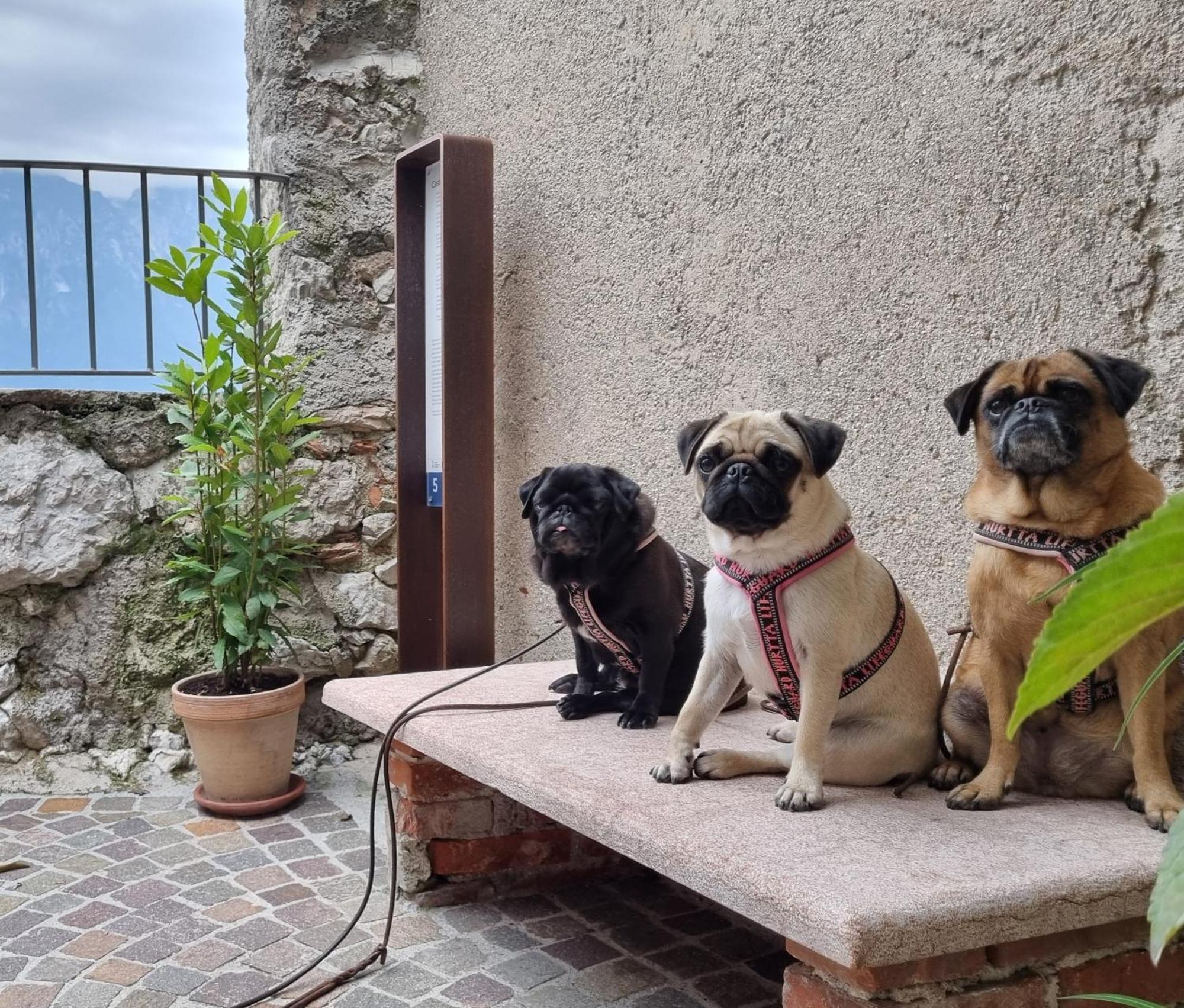 Locanda Al Castelletto Tremosine Ngoại thất bức ảnh